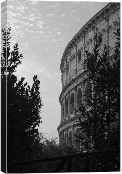 Colosseum, Rome Canvas Print by Rob Evans