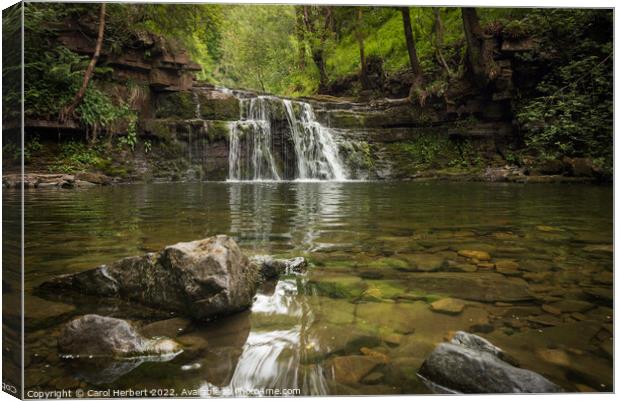 Ashgill Beck Cascade, Alston, Cumbria Canvas Print by Carol Herbert