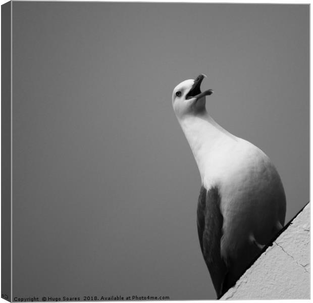 TheSeagull Canvas Print by Hugo Soares