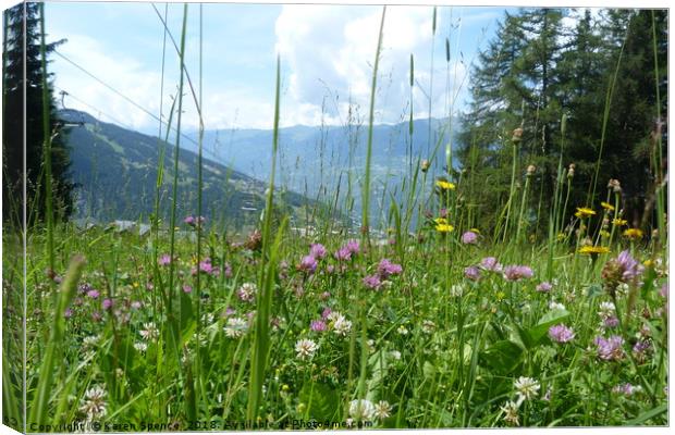 Meadow in the Alps Canvas Print by Karen Spence