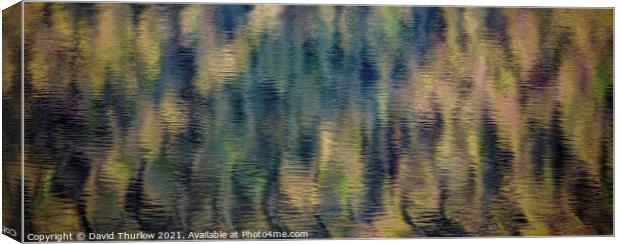 Forest Reflections Canvas Print by David Thurlow