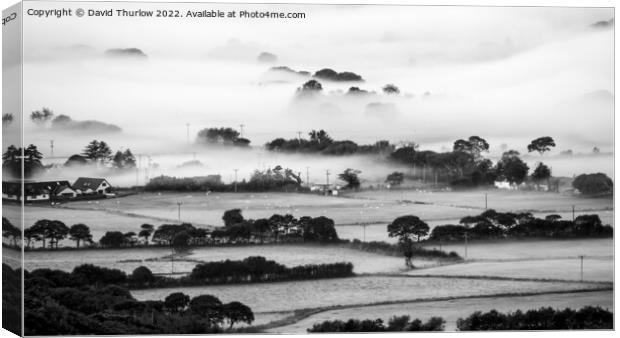 Mist on the fields Canvas Print by David Thurlow