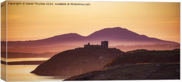 Criccieth castle on the Llŷn Peninsula  Canvas Print by David Thurlow