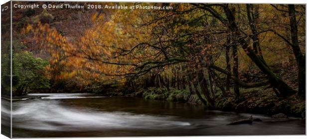 Autumn Colours in North wales Canvas Print by David Thurlow