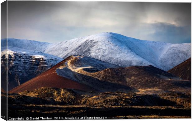 Berserkjahraun Lava Field, Iceland Canvas Print by David Thurlow