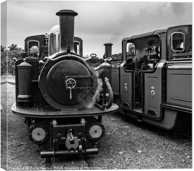 Old Engine Shed Lineup, Ffestiniog Railway Canvas Print by David Thurlow