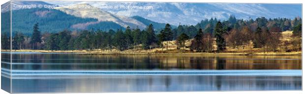 Distant Scottish Shore, Loch Tulla with the Black Mount in the background. Canvas Print by David Thurlow