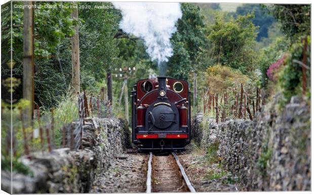 Ffestiniog Railway locomotive Palmerston approaching Canvas Print by David Thurlow
