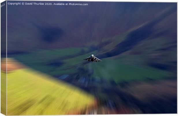 High Speed Harrier Canvas Print by David Thurlow