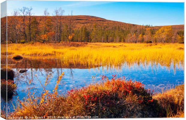 Autumn colours near Saariselkä Canvas Print by Jon Sparks