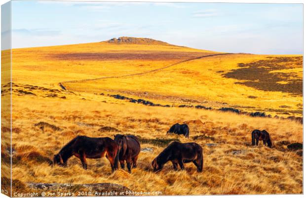 Dartmoor ponies and Higher White Tor Canvas Print by Jon Sparks