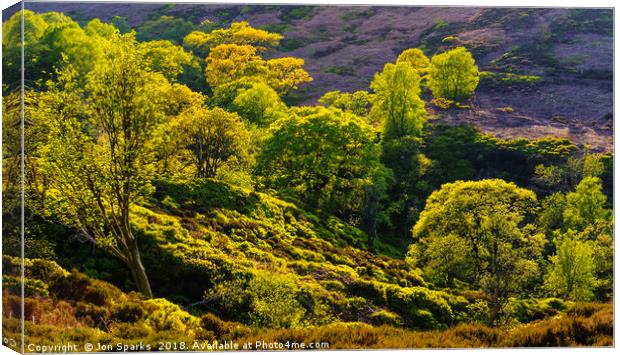 Looking down at Black Clough Canvas Print by Jon Sparks