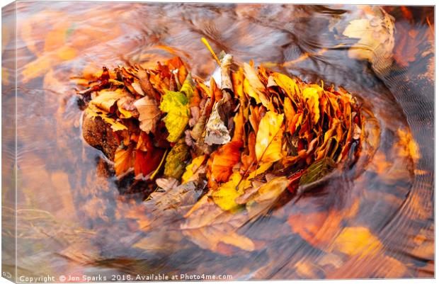 Leaves in the stream Canvas Print by Jon Sparks