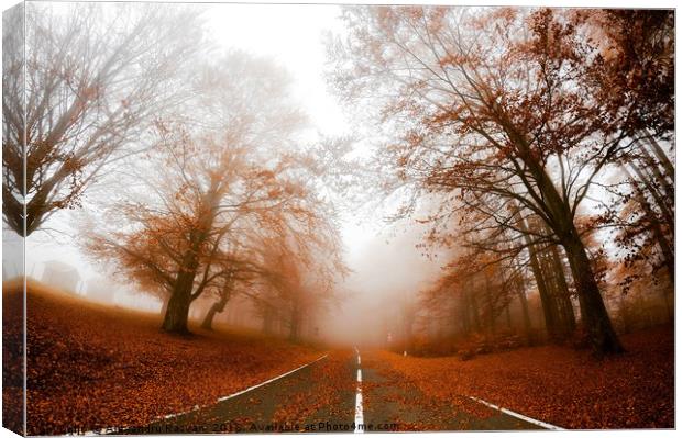 Road in fog Canvas Print by Alexandru Razvan