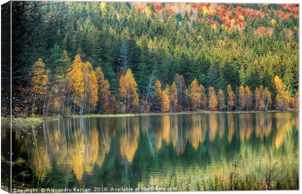 Autumn reflection Canvas Print by Alexandru Razvan