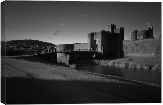 Caerphilly Castle gatehouse                        Canvas Print by jason jones