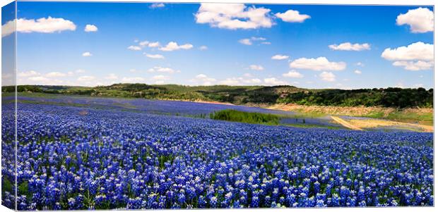 A Sea of Blue Panoramic Canvas Print by Chuck Underwood