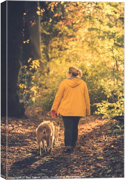 Walking the dogs through the woods Canvas Print by Ben Delves
