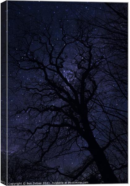 Enchanted Tree Canvas Print by Ben Delves