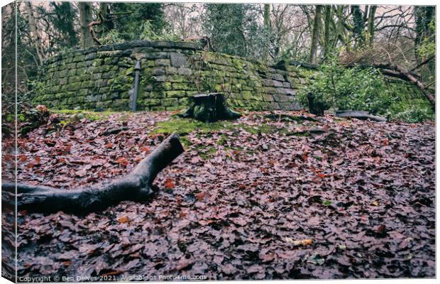 The Historic Wall of Eastham Woods Canvas Print by Ben Delves