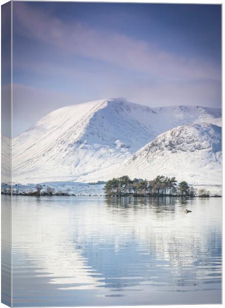 Winter in Highlands Canvas Print by Lukasz Lukomski