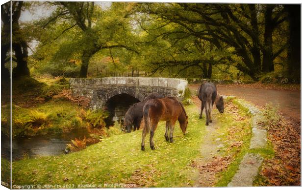 Ponies by a Dartmoor Bridge Canvas Print by Jean Fry