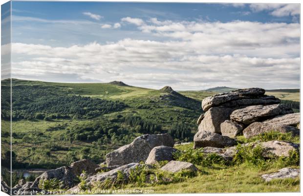 Dartmoor Tors Canvas Print by Jean Fry