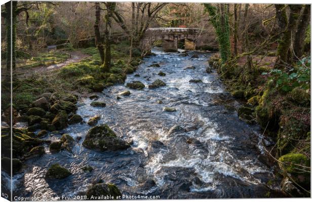 River Plym at Shaugh Bridge Canvas Print by Jean Fry