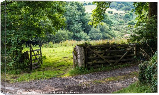 Farm gateways Huccaby - Dartmoor Canvas Print by Jean Fry