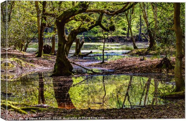 Lake in Epping Forest Canvas Print by Steve Ransom
