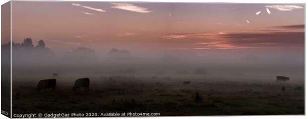 Mist on the marshes. Canvas Print by GadgetGaz Photo