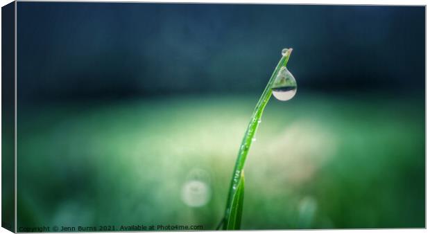 Snowdrop grass water drop with reflection Canvas Print by Jenn Burns