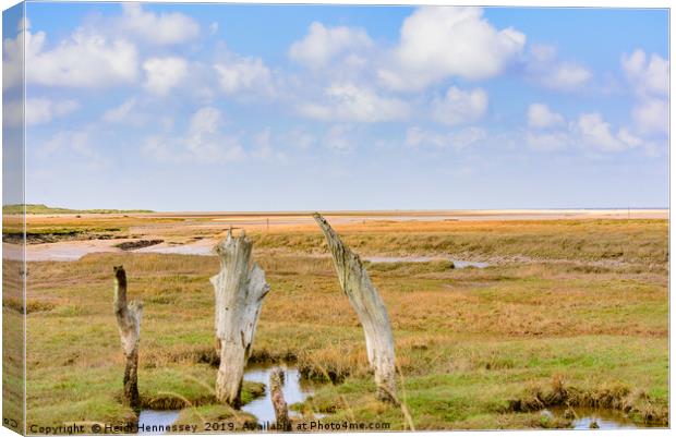 The History and Majesty of Thornham Old Harbour Canvas Print by Heidi Hennessey