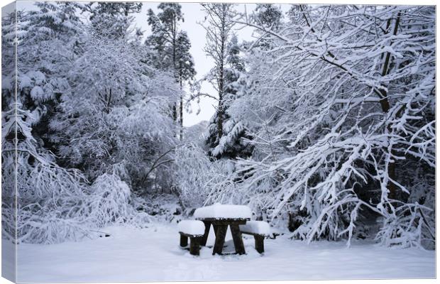 A snowy picnic Canvas Print by Kevin Arscott