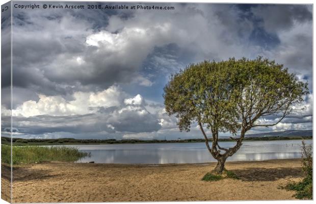 Lonely Tree, Kenfig Pool, South Wales Canvas Print by Kevin Arscott