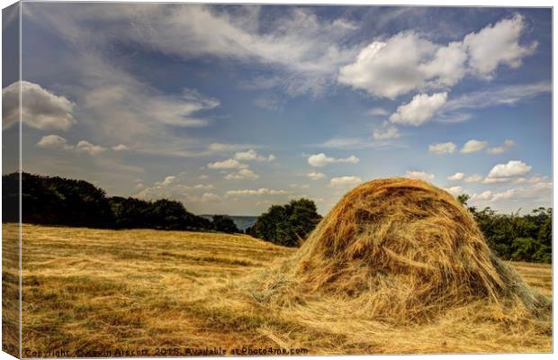Hay Bale Canvas Print by Kevin Arscott