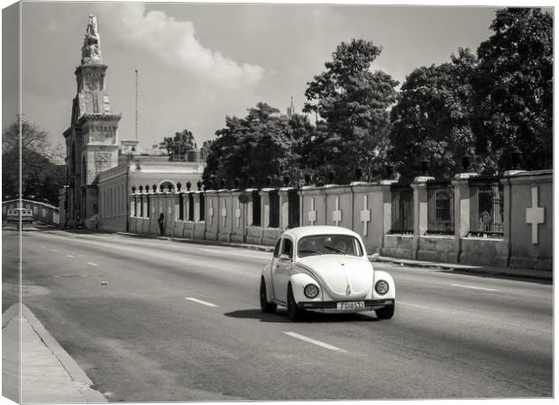 Beetle juice, Colon Cemetery, Havana Canvas Print by Sophie Shoults