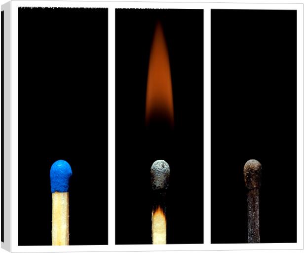 Match Triptych Canvas Print by Glyn Williams