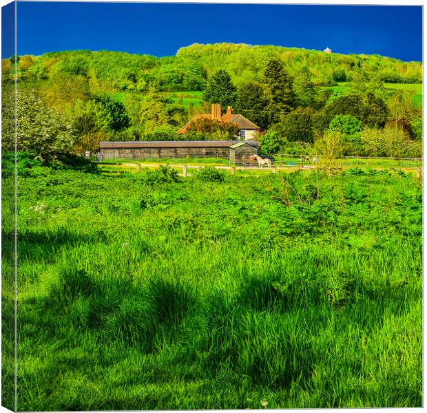 Serene Countryside Estate Canvas Print by Simon Hill