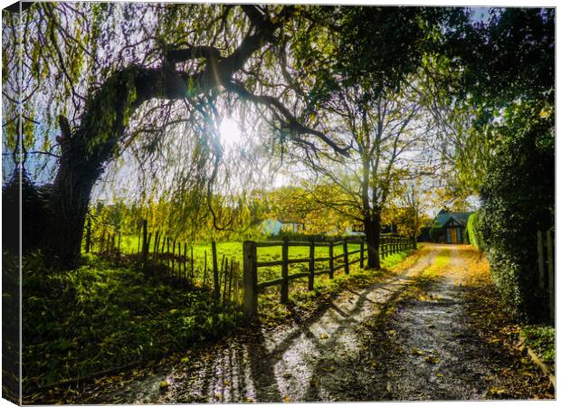 Tranquil Reprieve Amidst Verdant Bliss Canvas Print by Simon Hill