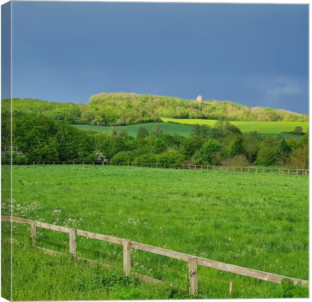 Panoramic Vista of Rivey Hill Canvas Print by Simon Hill