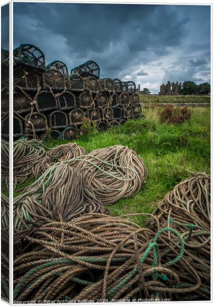 Holy Island Canvas Print by Peter Anthony Rollings