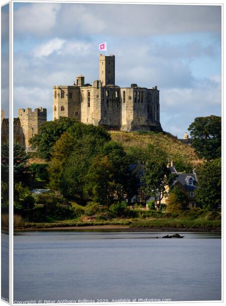 Warkworth Castle Canvas Print by Peter Anthony Rollings