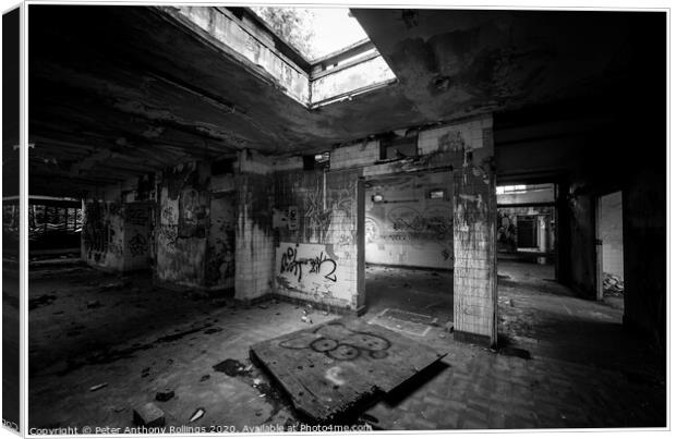 dereliction Canvas Print by Peter Anthony Rollings
