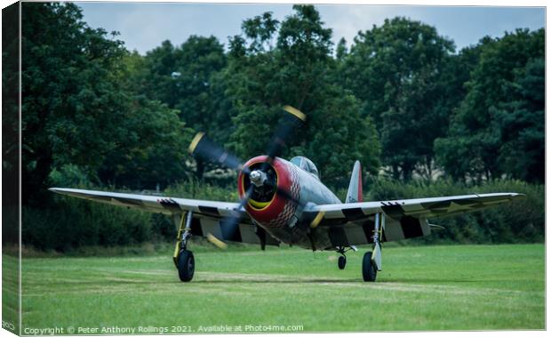 Thunderbolt P47 Canvas Print by Peter Anthony Rollings