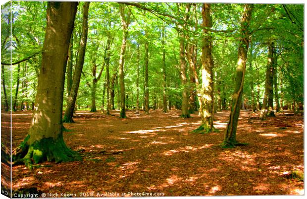 The New Forest Hampshire Canvas Print by Nick Keown
