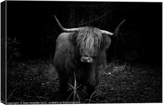 Highland Cow in the Forest Canvas Print by Ross McNeillie