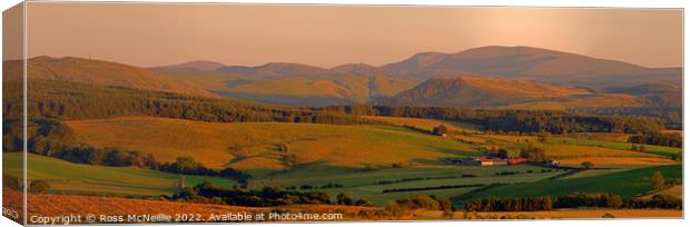 Majestic Southern Uplands Sunset Canvas Print by Ross McNeillie