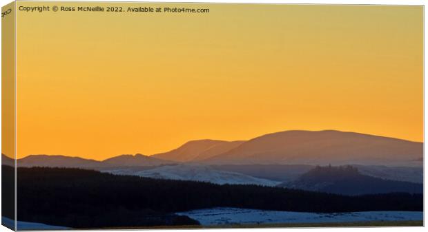 Majestic Merrick at Winter Sunrise Canvas Print by Ross McNeillie