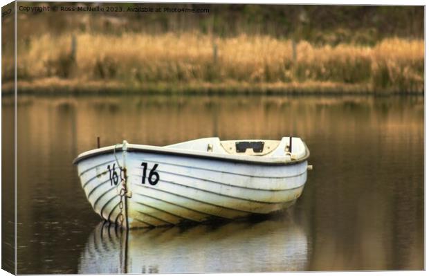 Small rowing boat Canvas Print by Ross McNeillie